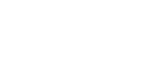 نیٹ اینٹیںٹ logo