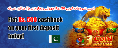 100% ویلکم میچ بونس